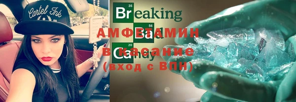 шишки Арсеньев