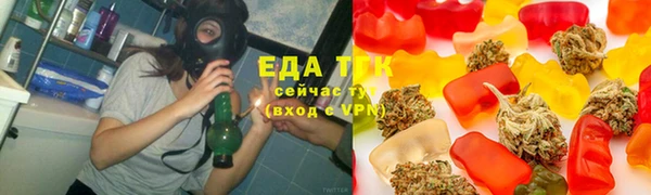 шишки Сосновый Бор