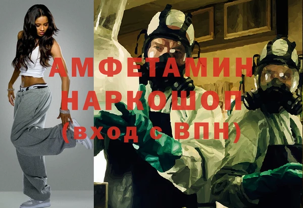 шишки Арсеньев