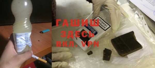 шишки Арсеньев