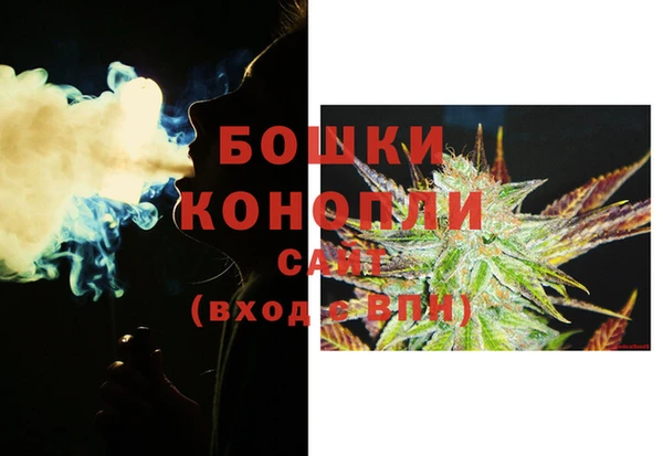 шишки Арсеньев