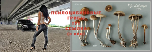 круглые Аркадак