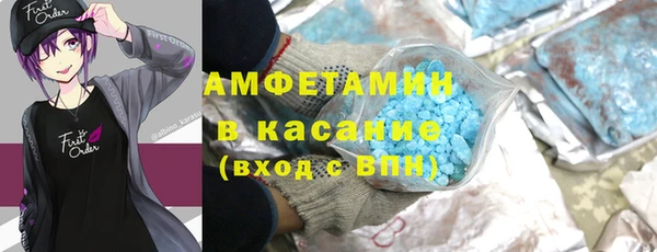 шишки Сосновый Бор