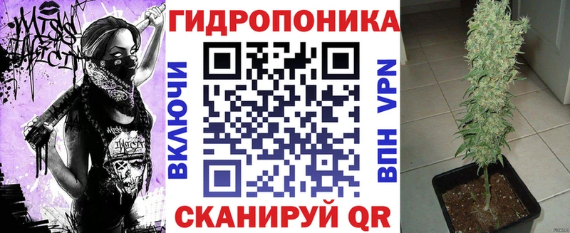Конопля планчик  как найти наркотики  Хилок 